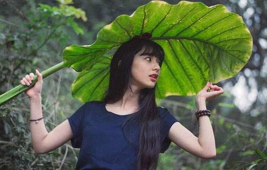 什么是DPL美容儀器？